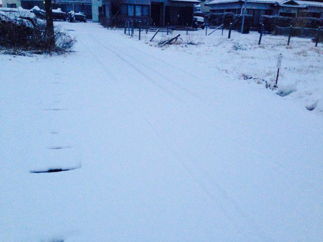 河口湖雪