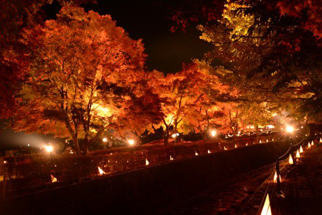 河口湖紅葉祭り fujisan