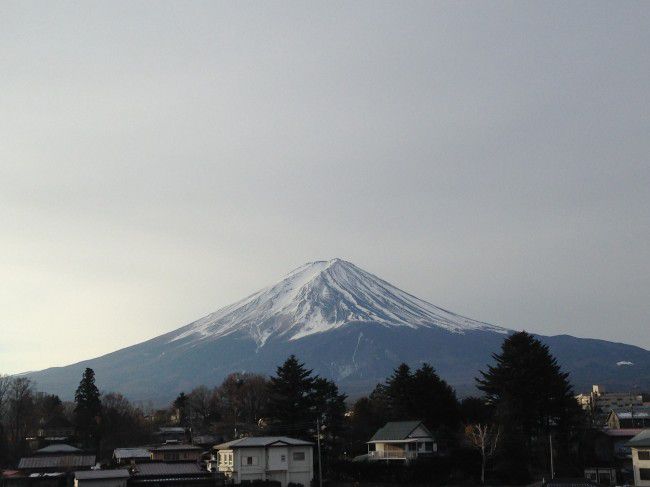 河口湖富士山温￥