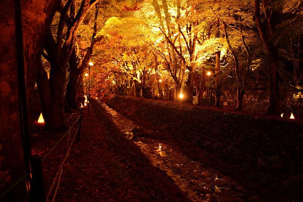 河口湖　紅葉祭り大池ホテル11