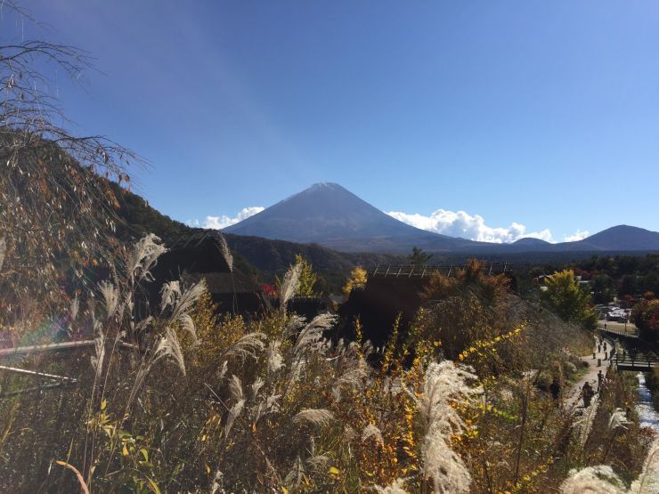 根場　いやしの里